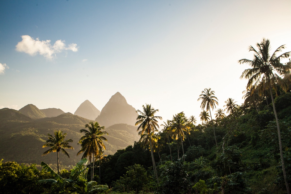 Tropical forest with a view of St. Lucia's Piton mountain in the background.