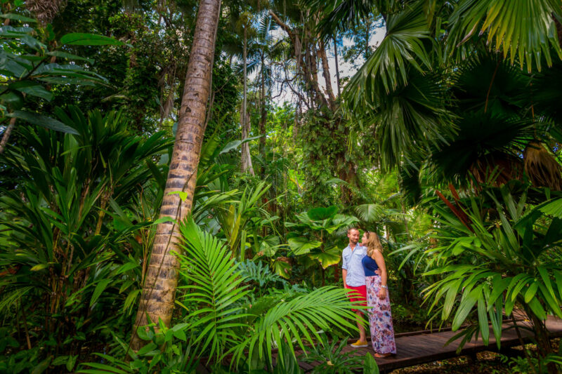 Cairns Colonial Club Resort’s Journey to Boost Direct Bookings (+30%) and Visibility