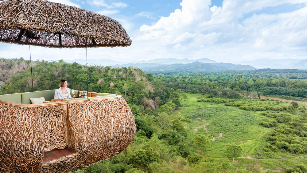 Canopy, A Tree Top Dining Experience