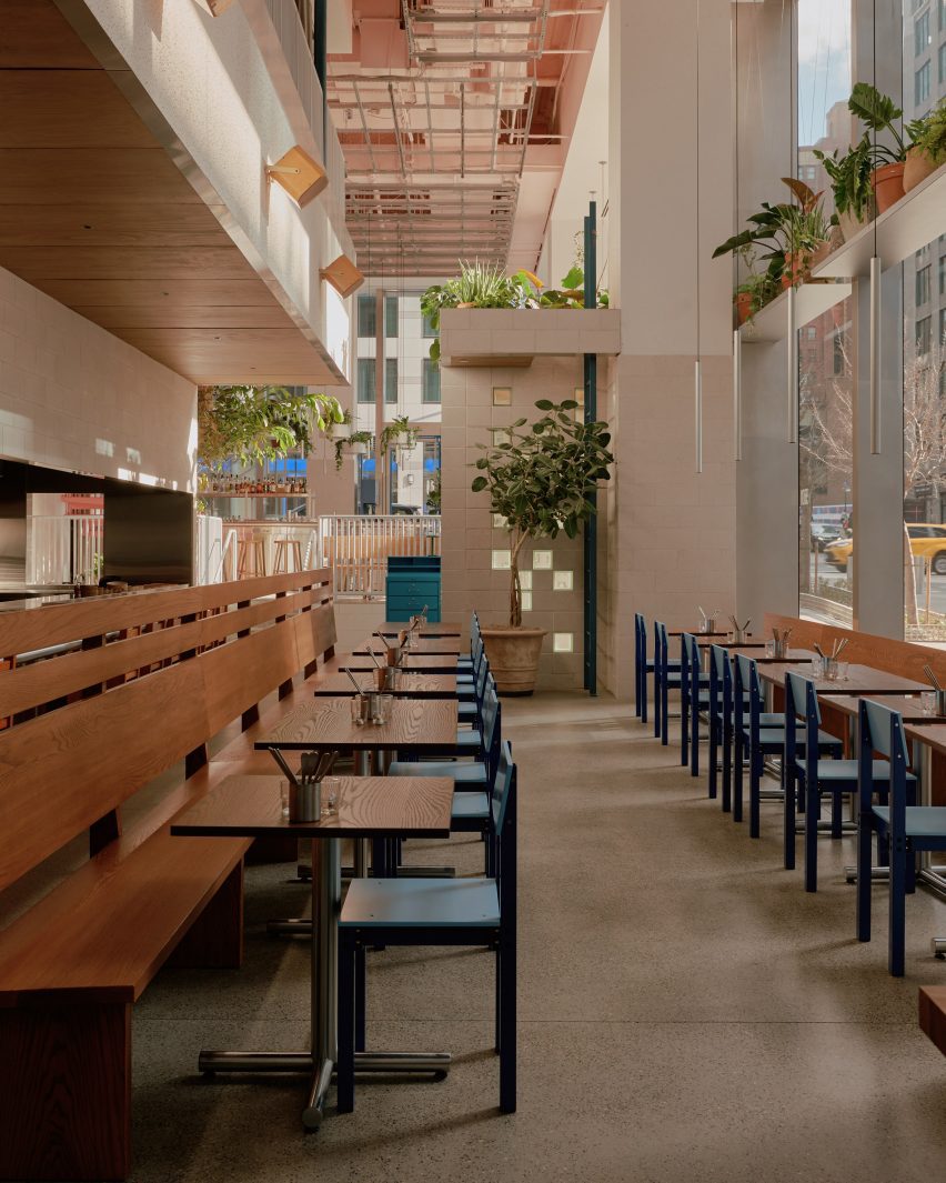 Dining area arranged around long benches accompanied by blue chairs