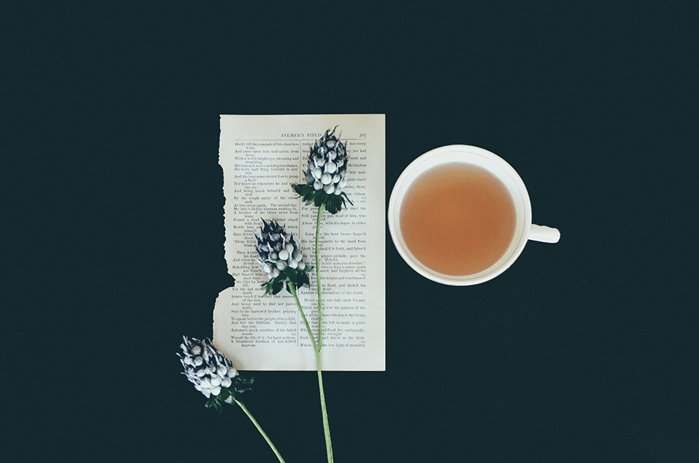 Wellness Without Hype Calm Focus from Leaf Chemistry