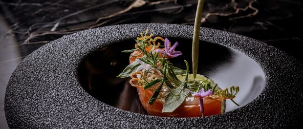 BEAR CARLO @lateef.photography-103 Cropped