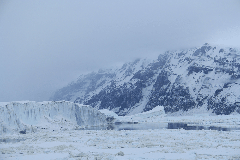 Ross Sea