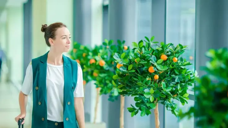 Top hotel renovation ideas to improve your property