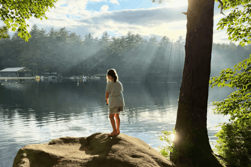 Popular campground sees surge in online bookings and slashes admin time with RMS 