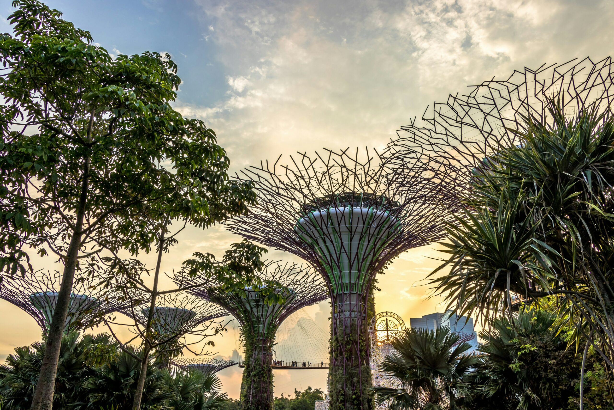 Recast: Why regenerative tourism is the future of hospitality