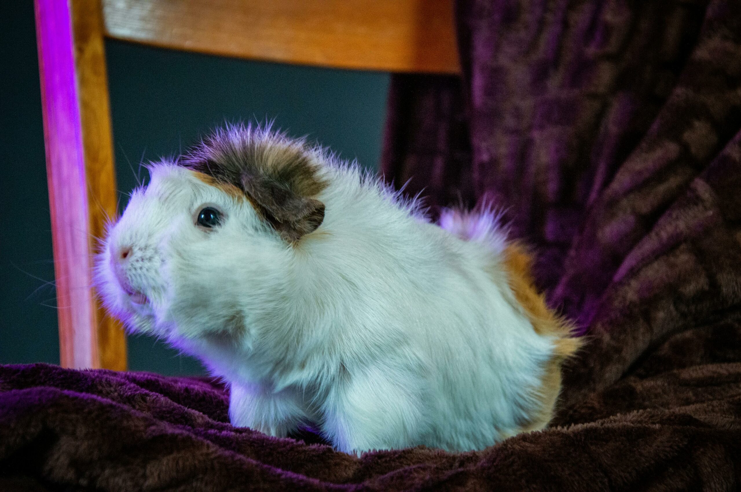 Citi Group Papua New Guinea Enhances Operations with IDS Next