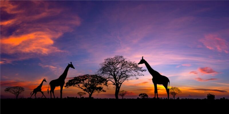 Exoticca lands €60M investment to grow multi-day tours platform