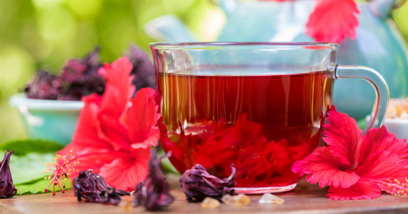 Hibiscus, the colorful flowering plant with health benefits