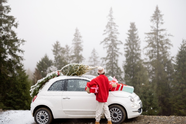 Americans prefer hotels as lodging choice for holiday travel, finds AHLA survey