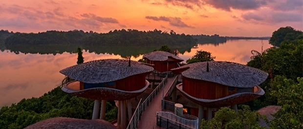 Escape the urban jungle for a forest-stay at the Mandai wildlife reserve