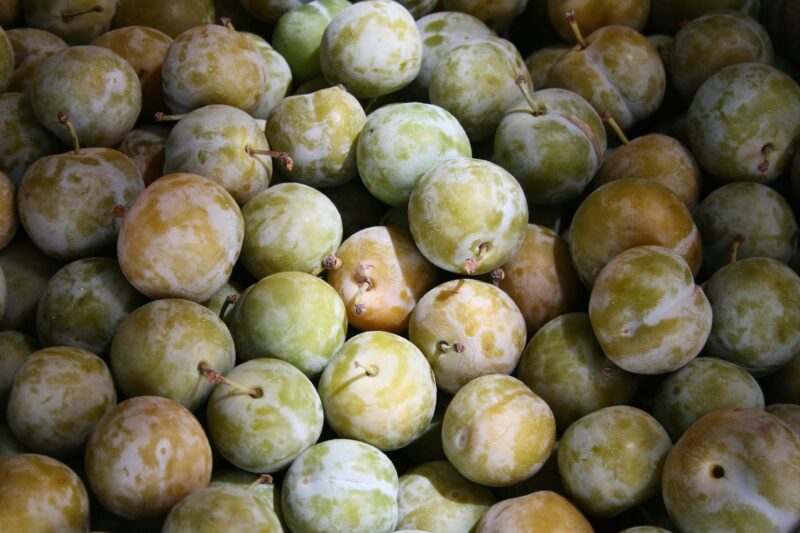 HotelREZ Helps Hotels Become Environmentally Sustainable With Greengage