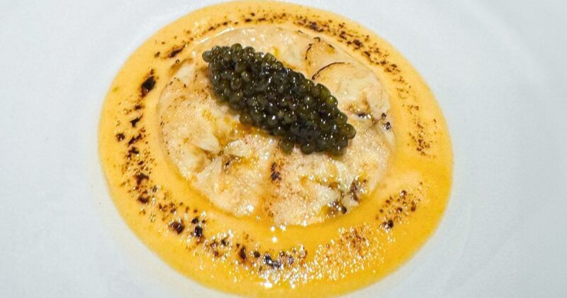 Sea urchin, the luxury seafood item that is trending in restaurants
