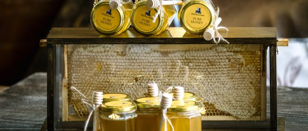Country estate hotel gives nature a buzz with new beehives