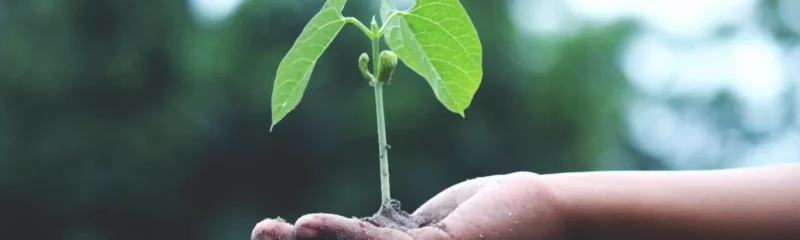 Green Claims Directive: Calling for Meaningful Simplification