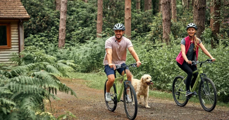 Awaze announces its surpassed covid Easter…