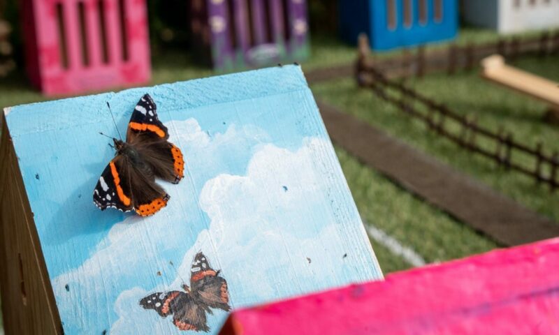 Horwood House opens UK’s first ‘butterfly resort’
