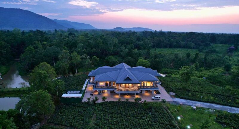 Wild benefits! 40% jump in online revenue for Indian wildlife resort