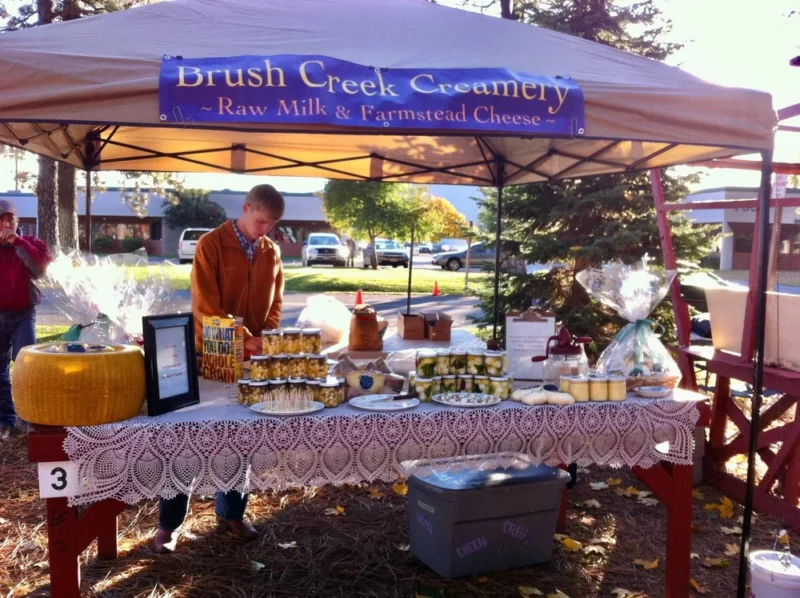 What Cheesemaking Taught Me About Art & Business