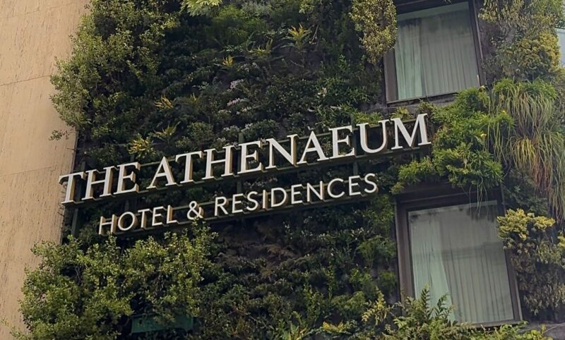 The Athenaeum completes £80k refresh of long-running living wall