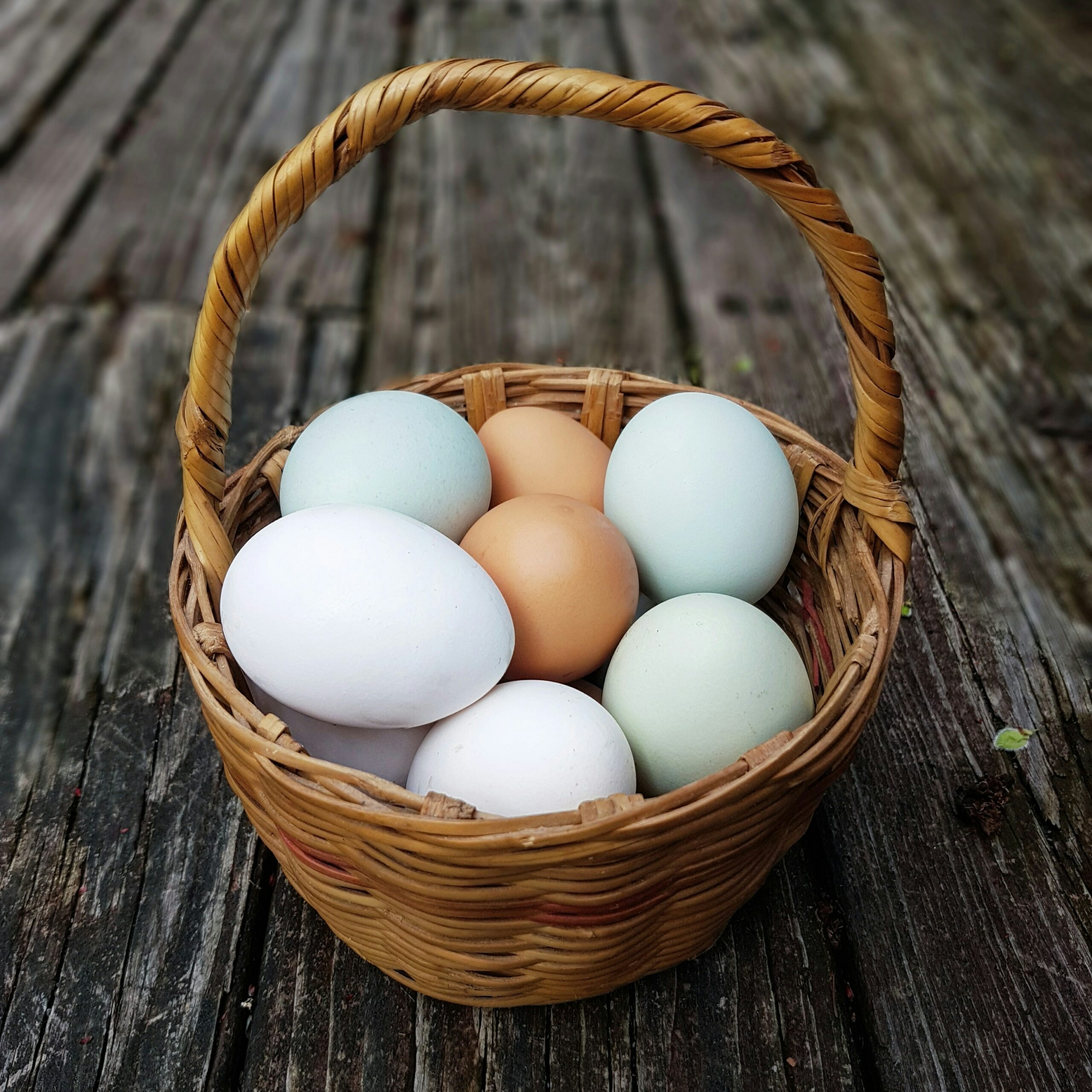 Nearly 70% of Hospitality Sector Now Committed to Use Only Cage-Free Eggs, New Industry Report Finds