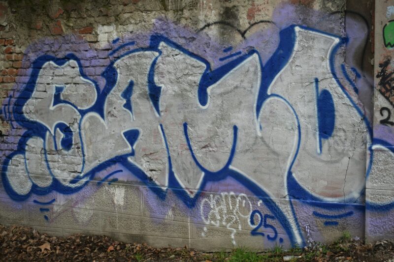 ISHC Elects 2026 Board of Directors and Inducts 30 New Members