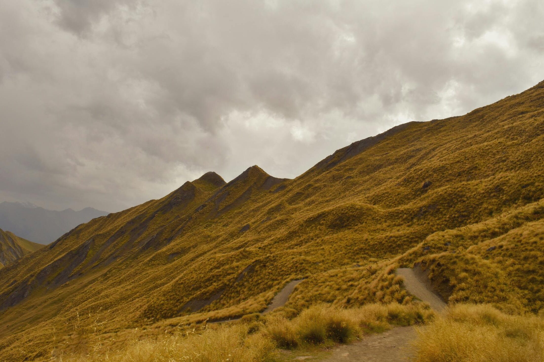 OTA players, big tech, and Google I/O keep announcing major updates. It’s hard to keep up. And it should terrify tour operators. Or excite them. Depends on how you play it. Tripadvisor’s CEO just… | Ari Adnan Cibari | 23 comments