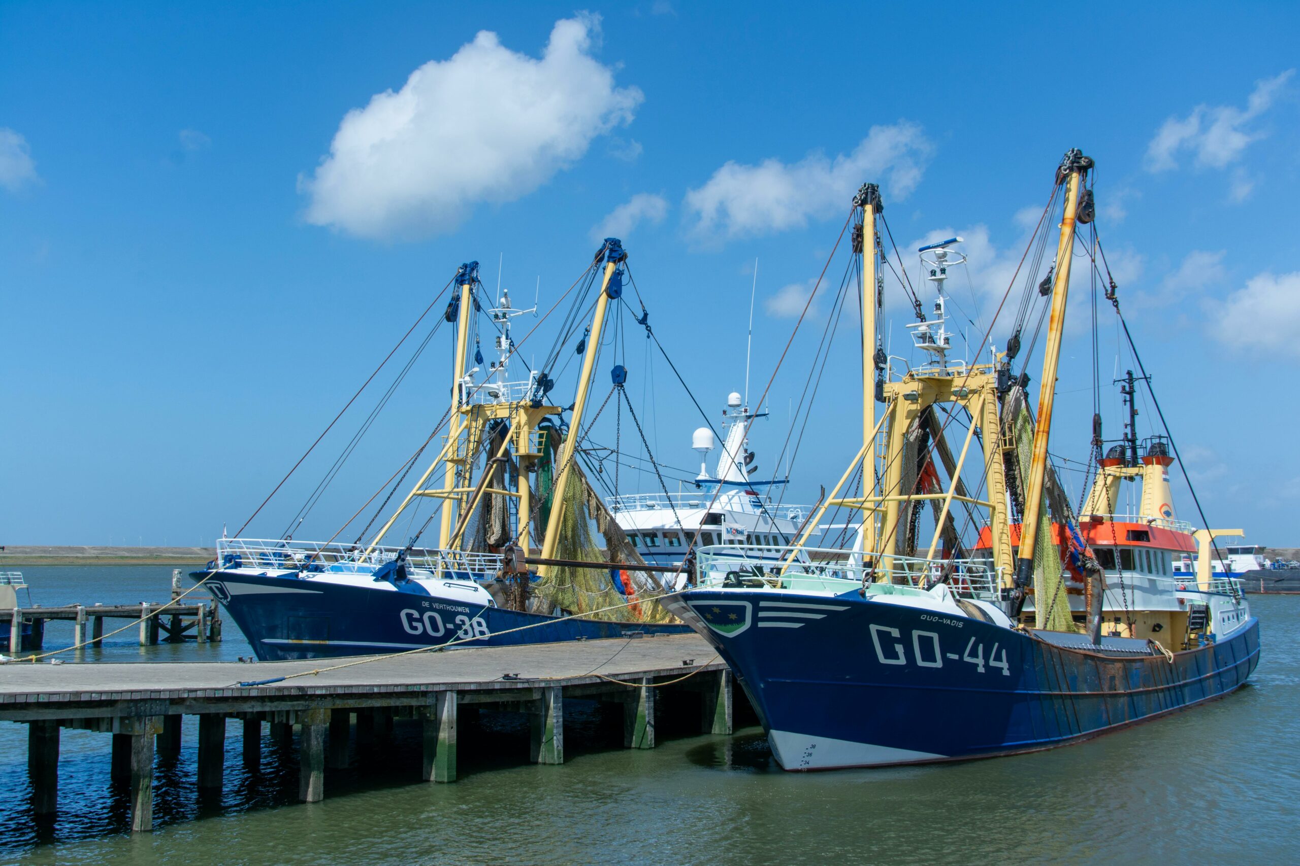 Scandic Signs with SVG Property for New Scandic Go in Stavanger