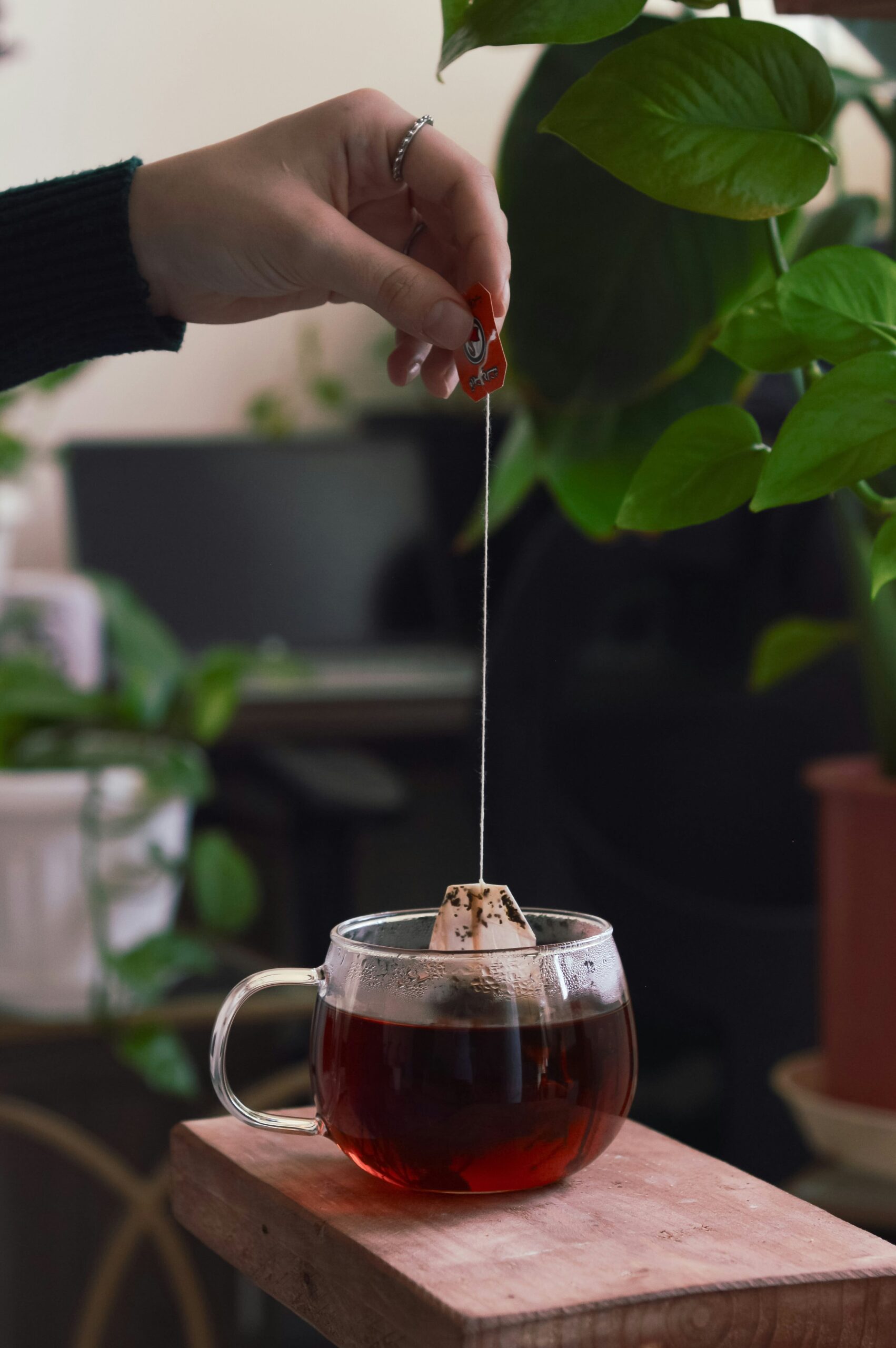 A Look at the Guó Cháo Coffee Trend in China – Exclusive F&B Insights on Saladplate!