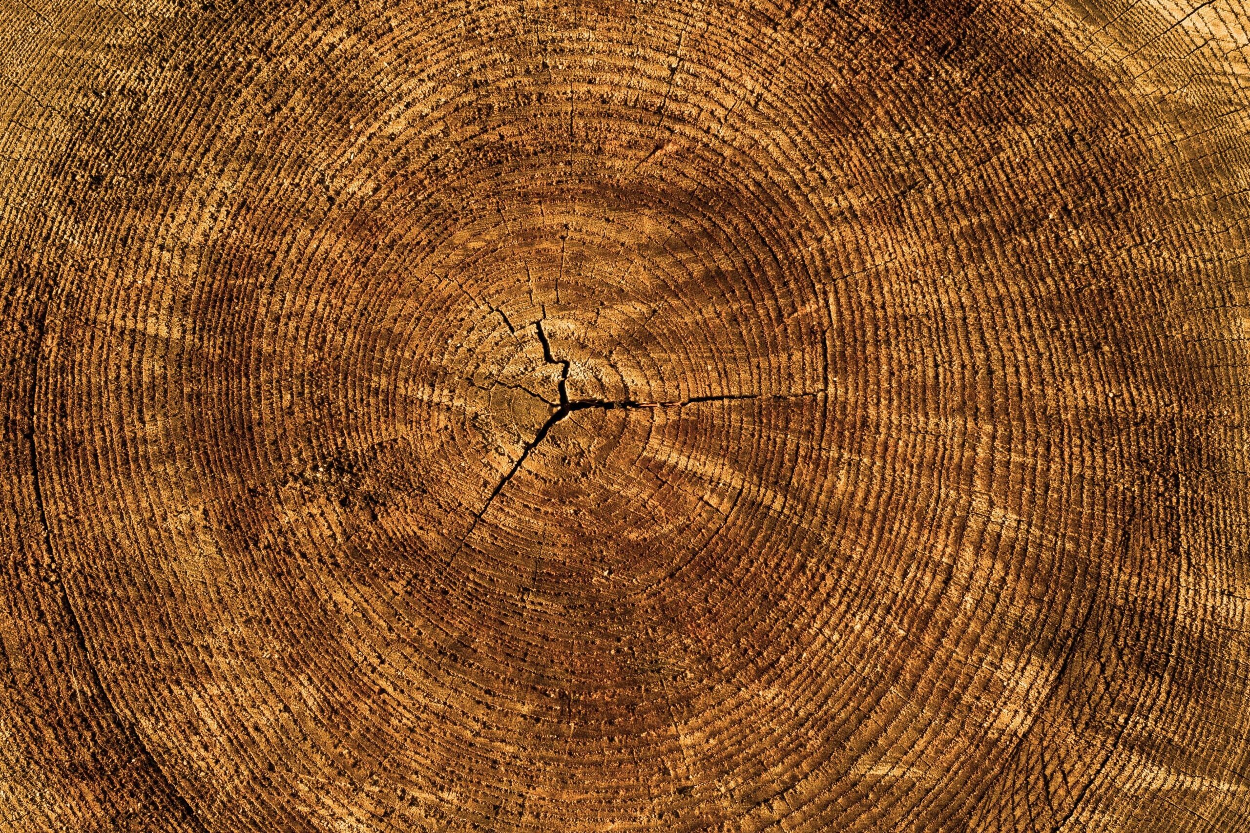 Mirai's MCP Enables AI Agents to Operate Hotel Booking Engines, Integrating Real-Time Inventory and Pricing