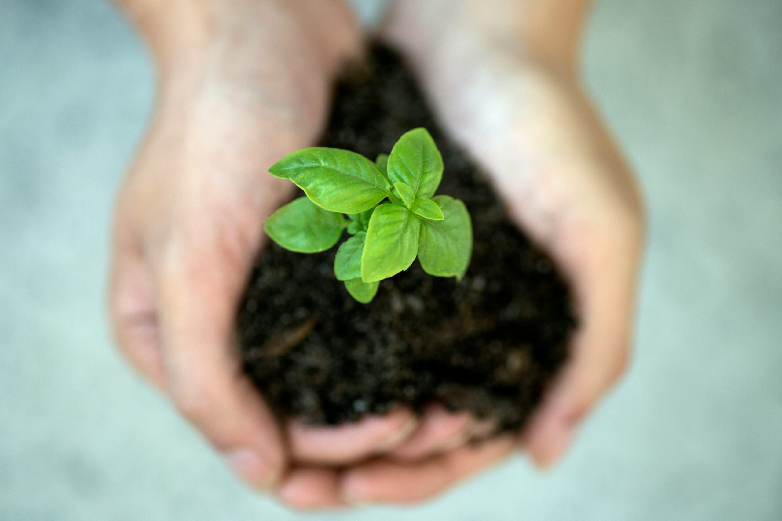 Banyan Tree Holdings Releases 2025 Sustainability Report, Marking Milestone of 100 Properties and First Double Materiality Assessment