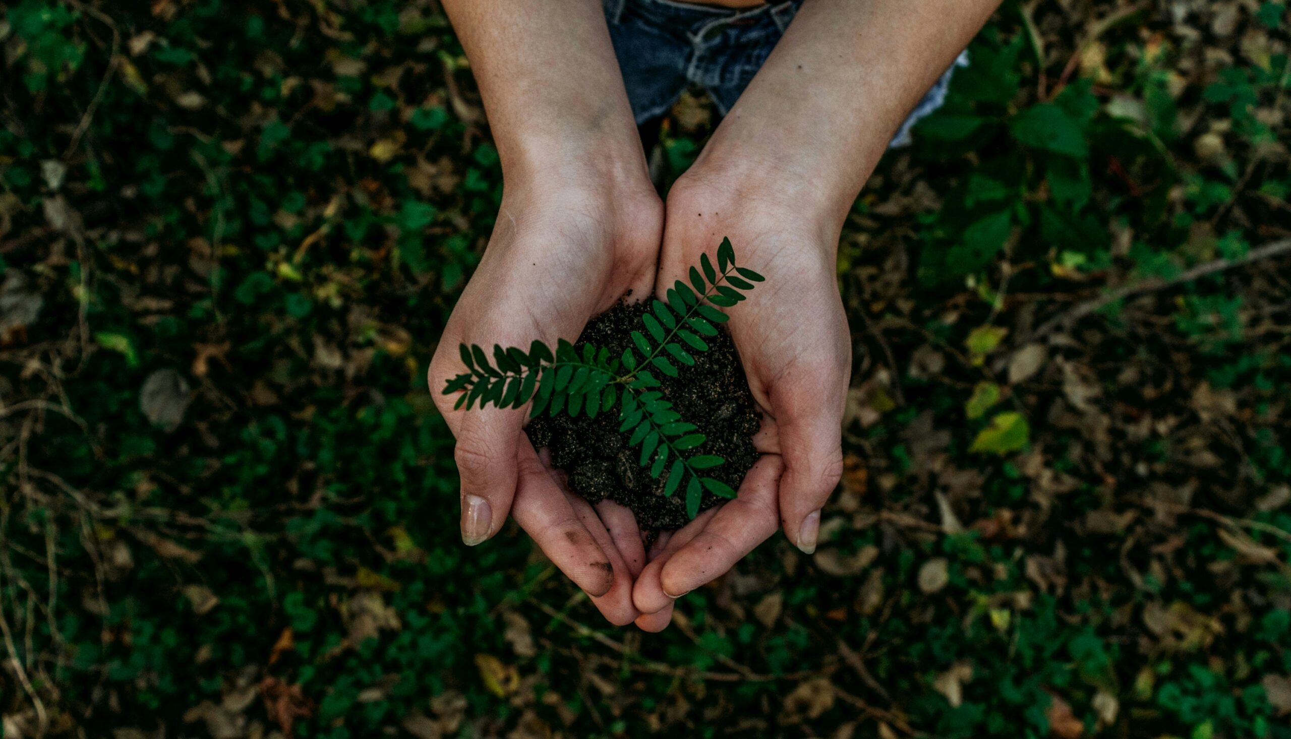 UK Hospitality Sector Urged to Adopt Sustainability Measures as Industry Contributes 15% of National Greenhouse Emissions