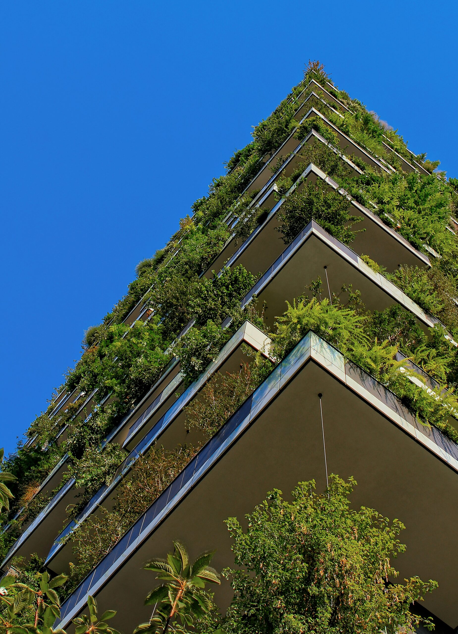 UK Hospitality Sector Urged to Adopt Sustainable Practices as Industry Accounts for 15% of Greenhouse Emissions