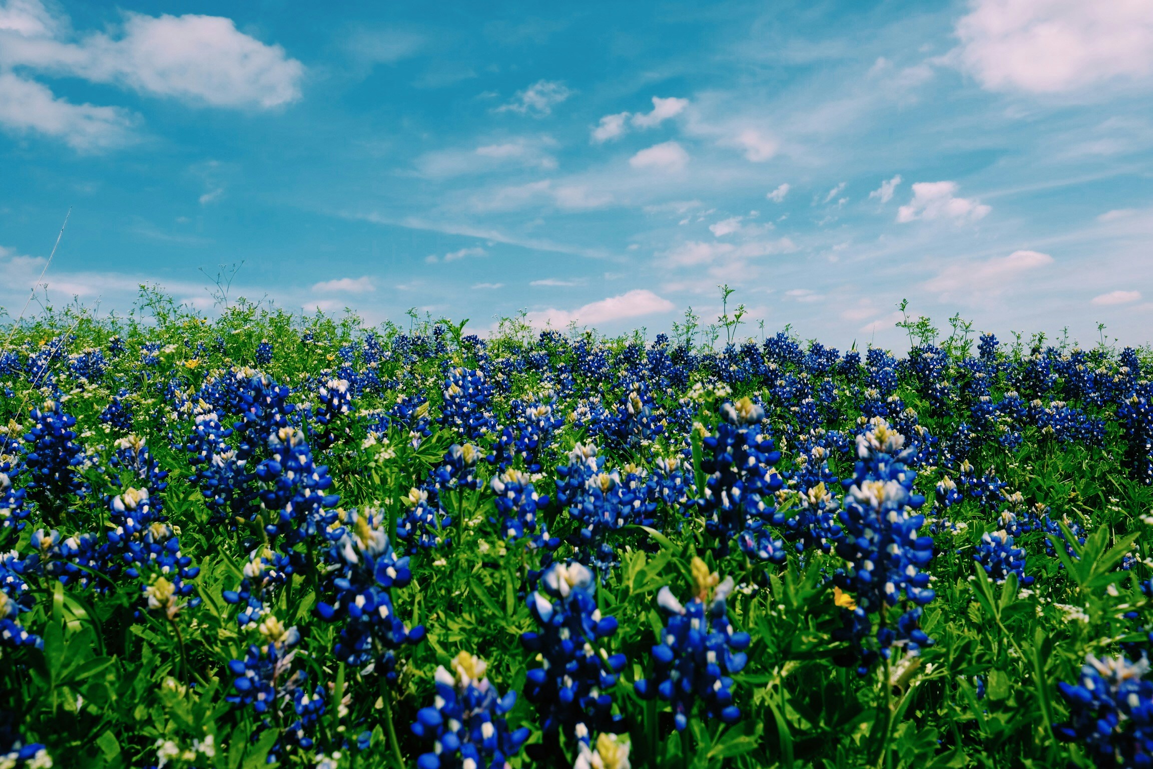 PM Hotel Group Promotes Geoff Gaumer to Regional Director of Operations for Expanding Texas Market Portfolio