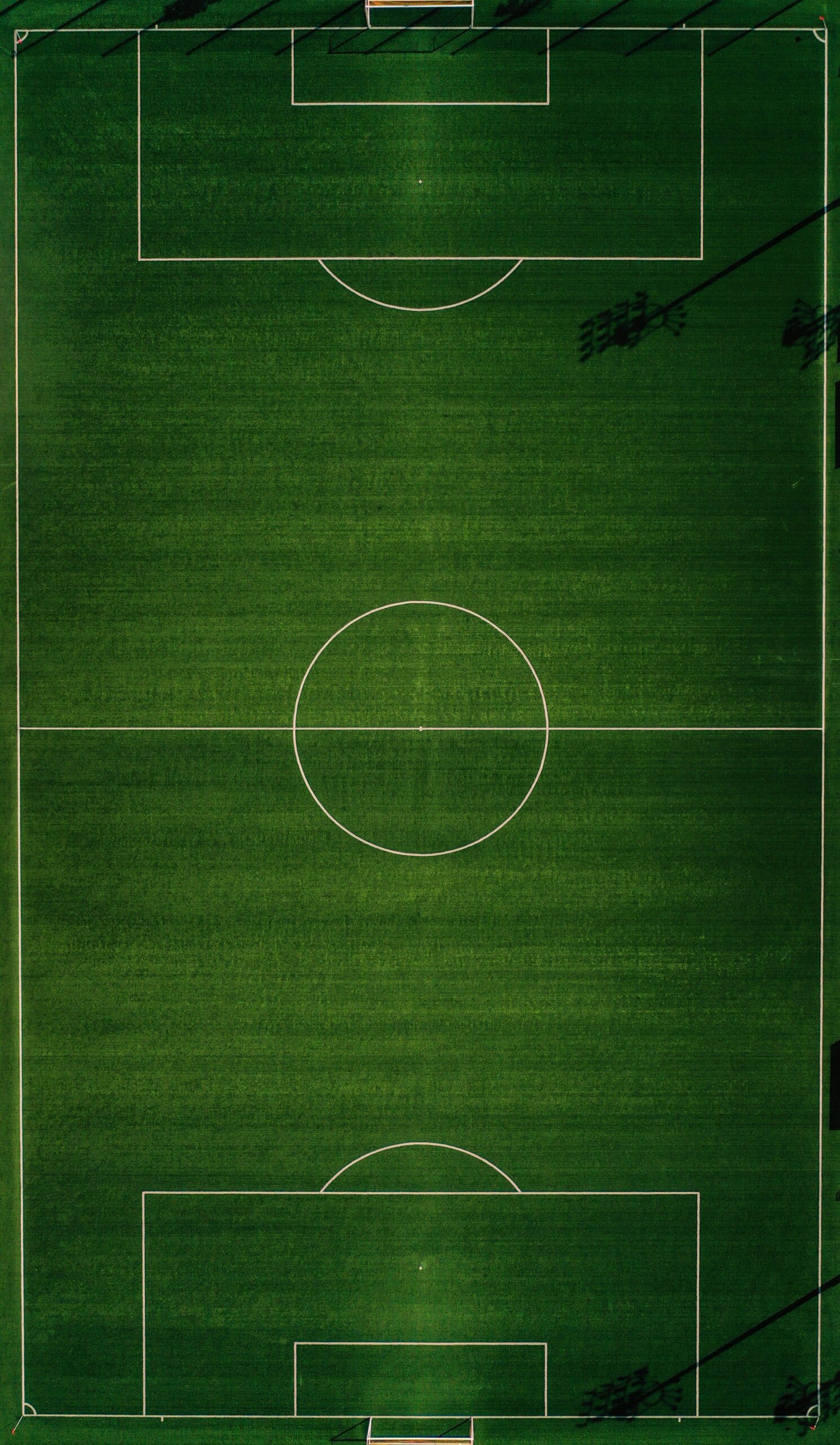 Trip.com Data Shows Japanese Football Fans Drive 250% Surge in Bookings to North American Host Cities for 2026 Tournament
