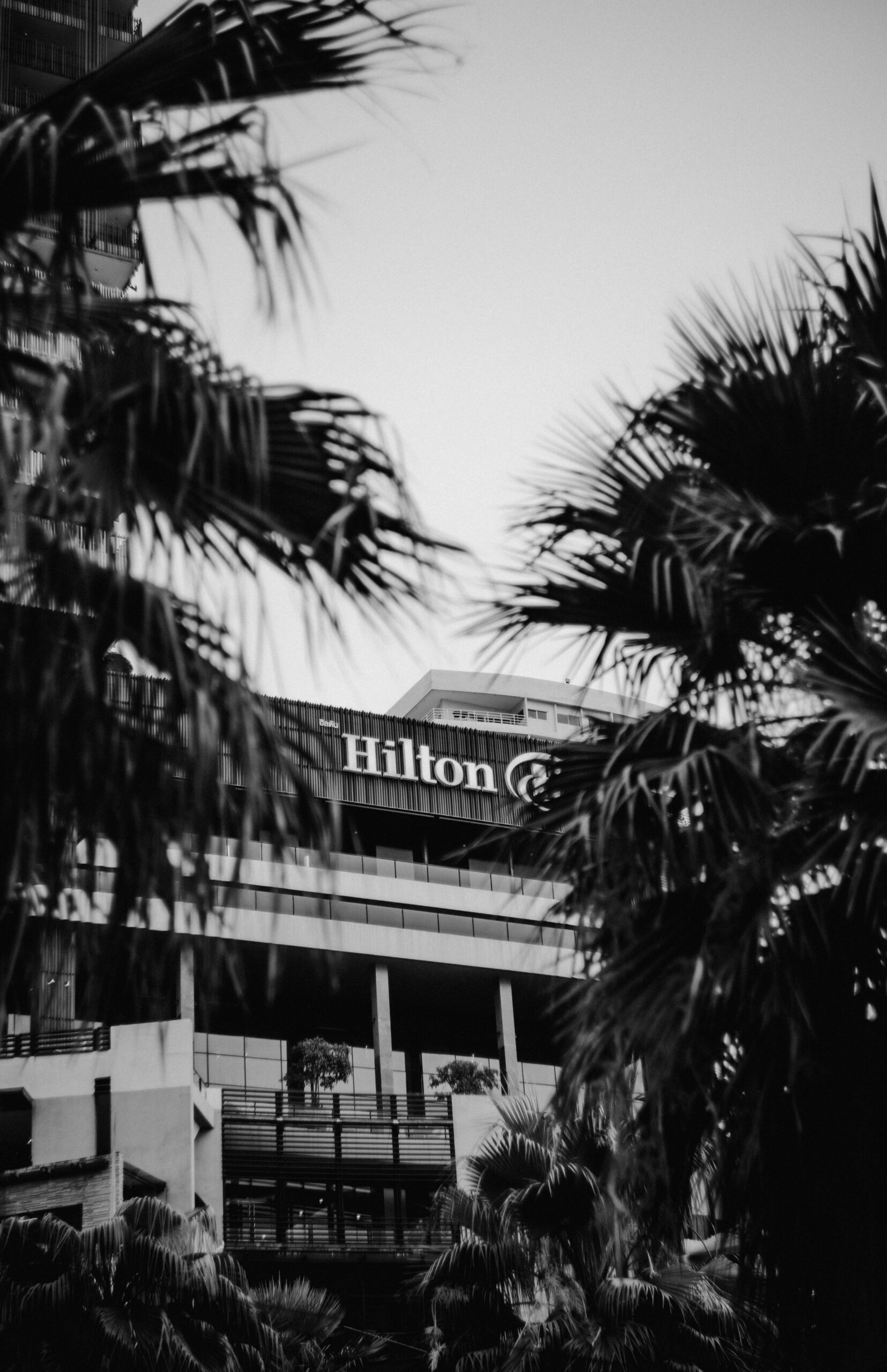 Hilton Launches Undergraduate by Hilton Brand, Targeting 400-500 Hotels in College Markets by 2027
