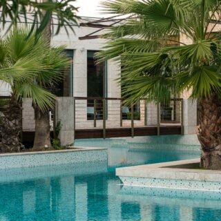 Pool in a tropical courtyard framed by palm trees, with a modern stone building and glass doors in the background.