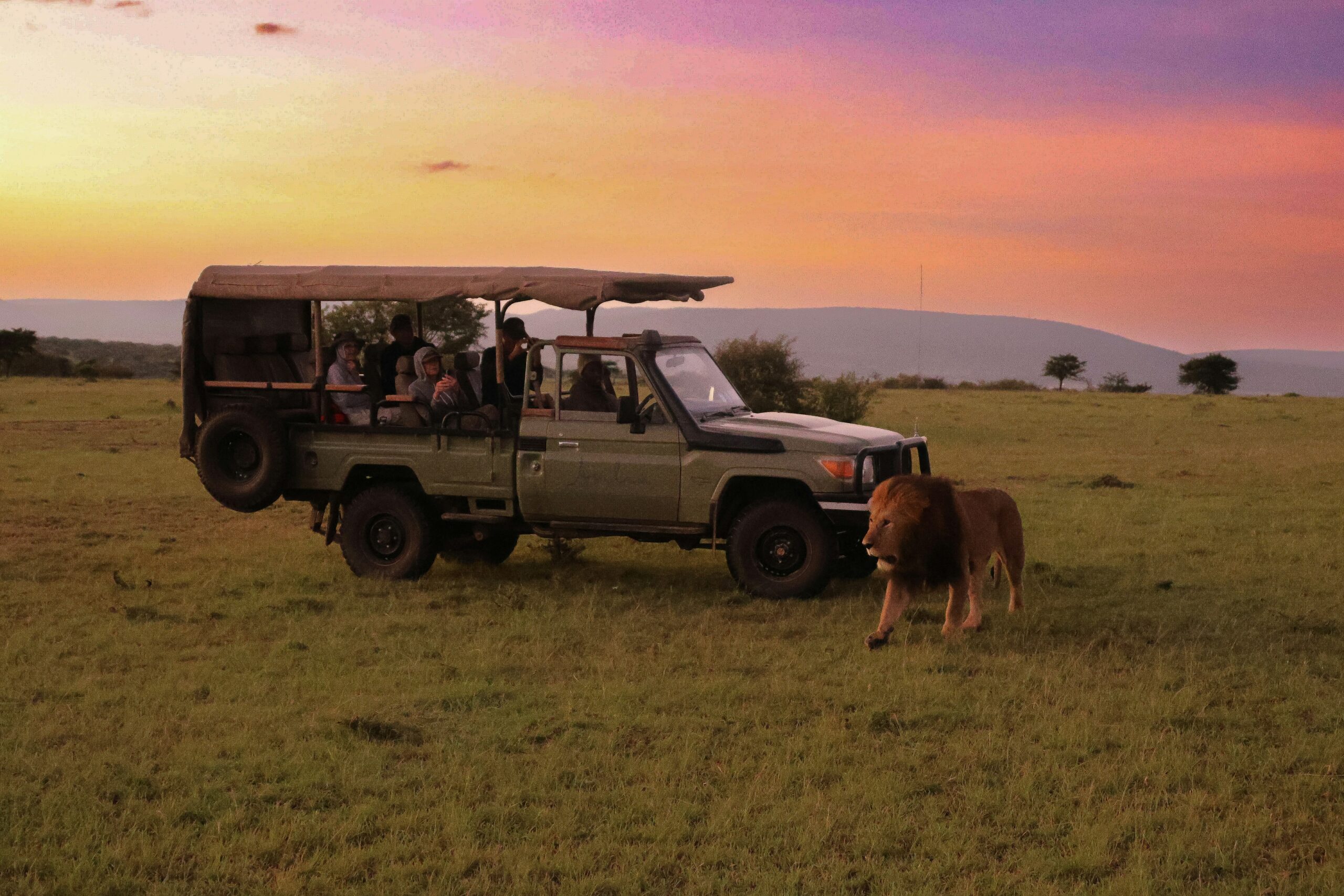 Kenya's Tourism Economy Contributed $12.7 Billion to GDP in 2025, Supporting 1.8 Million Jobs and Leading Africa's Growth