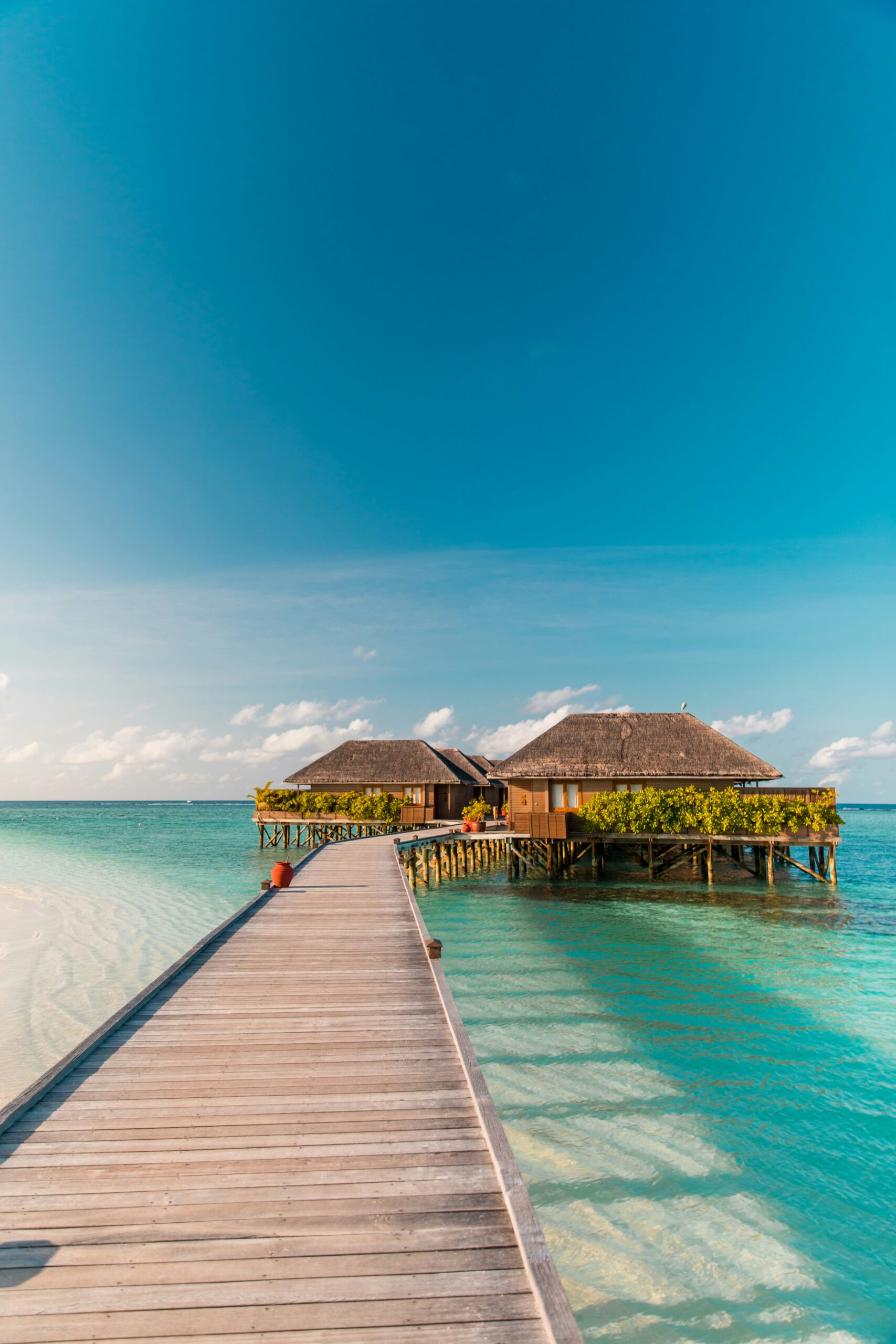Alila Kothaifaru Maldives Wins TripAdvisor Travellers’ Choice Award 2026, Ranking in Top 10% of Global Hotels