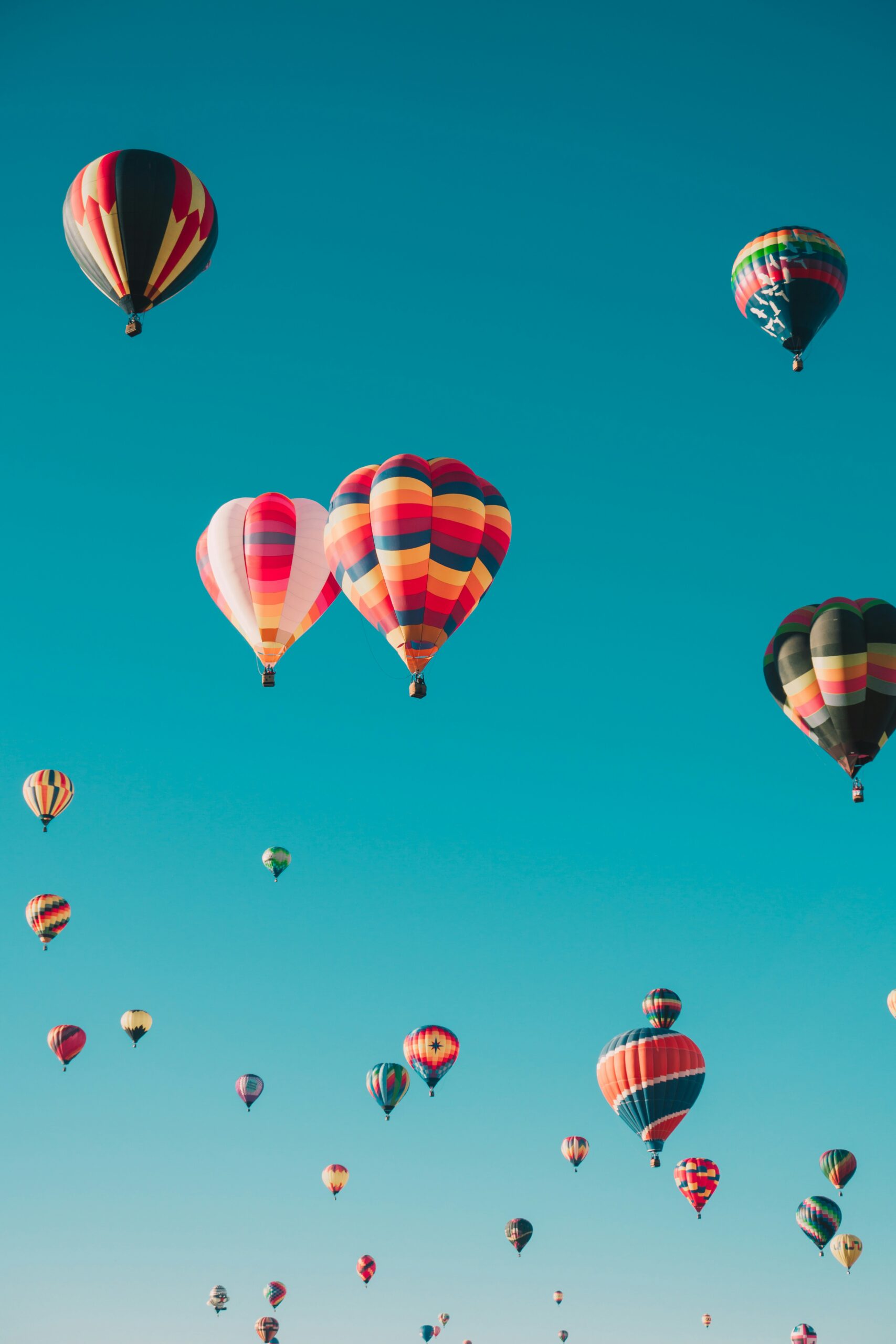 Travel Queries Tripled in Length, U.S. RevPAR Forecast Raised, CBP Cuts Would Cost $8B