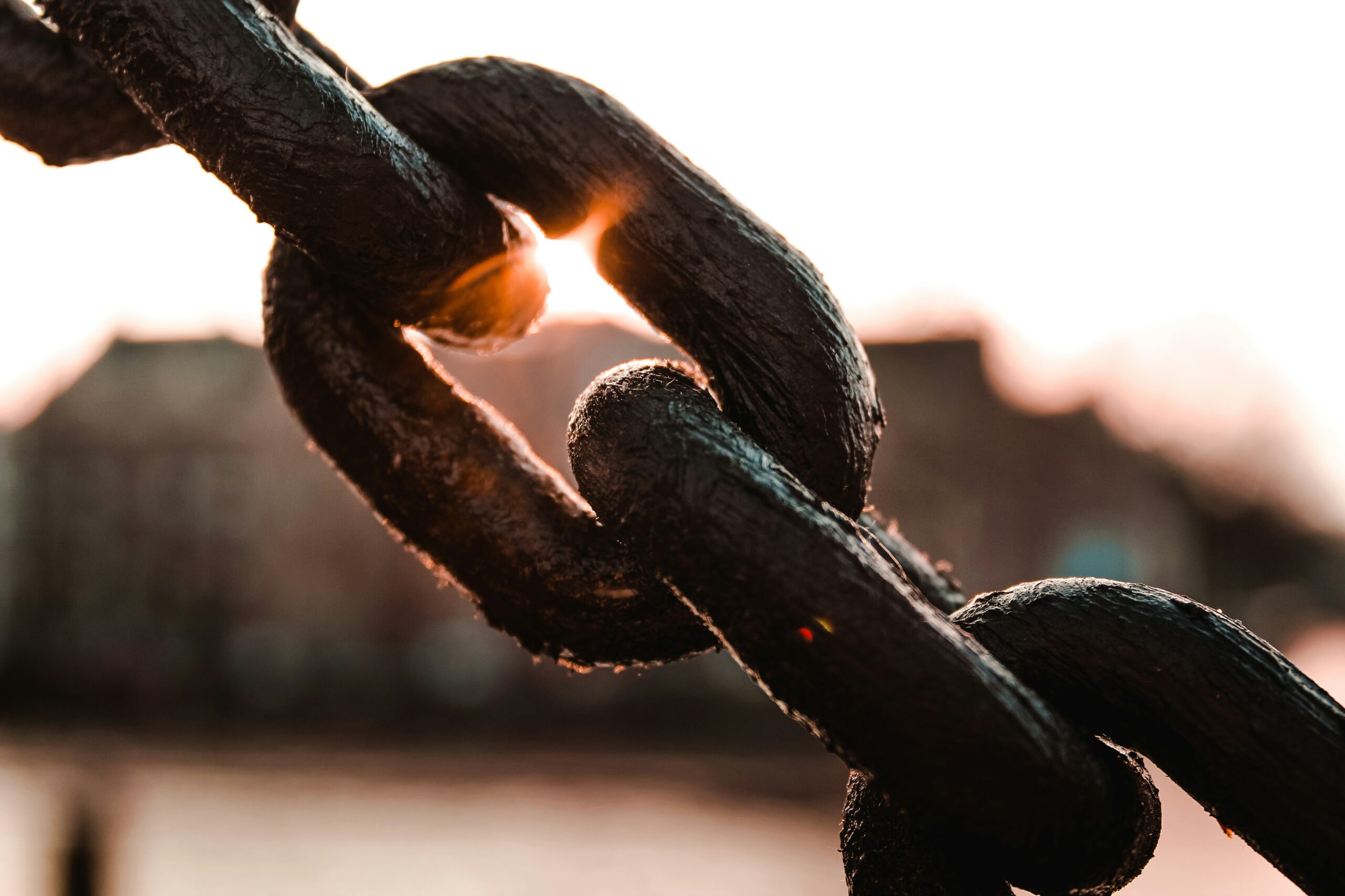 Travel Industry Shifts Focus to Value Over Price as Hidden Fees Erode Consumer Trust