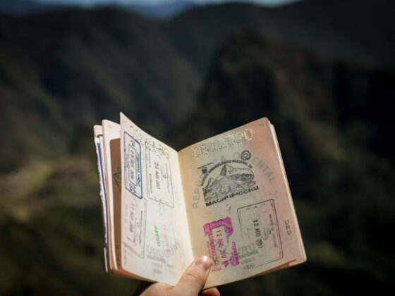 Open passport displaying colorful visa stamps held outdoors, with a blurred natural background.