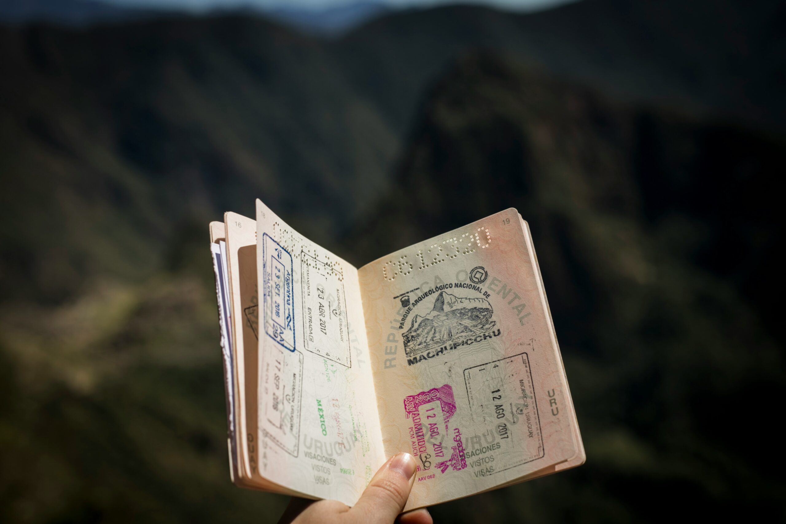 Visa Launches Travel Platform in 10 Cities, Securing Direct Deals with Louvre, Disneyland Paris, and Printemps