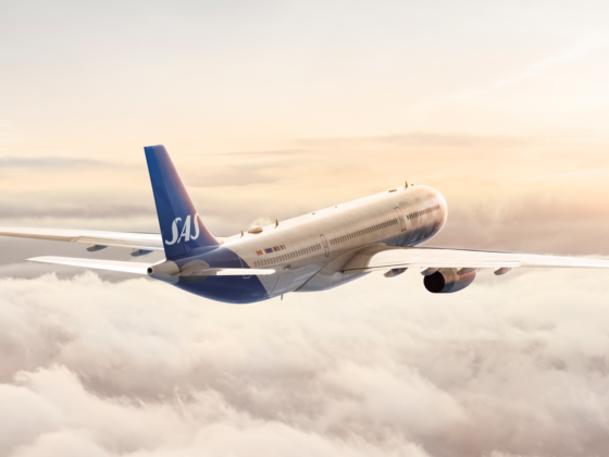 Side view of a SAS commercial jet flying above fluffy clouds at sunset.