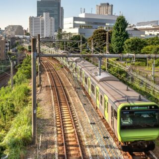 Green commuter train on elevated tracks travels through a sunny urban area with power lines overhead and green vegetation beside the rails.