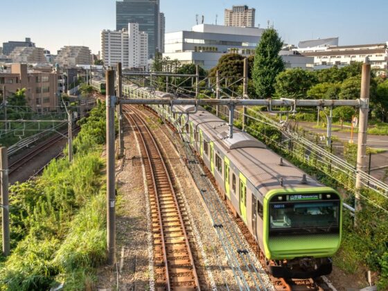 Green commuter train on elevated tracks travels through a sunny urban area with power lines overhead and green vegetation beside the rails.