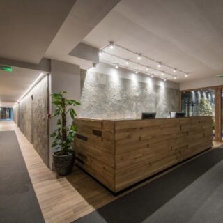 Wood-paneled hotel reception desk in a modern lobby with stone wall, plant, and glass doors at the entrance.