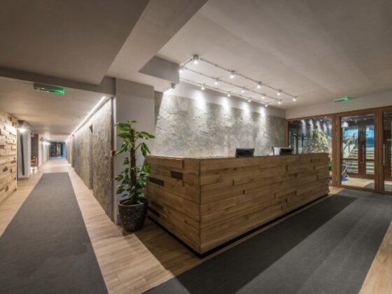 Wood-paneled hotel reception desk in a modern lobby with stone wall, plant, and glass doors at the entrance.
