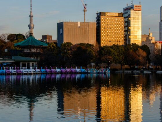City skyline by a river at sunset with colorful paddle boats in the foreground and a green-roofed temple on the left.