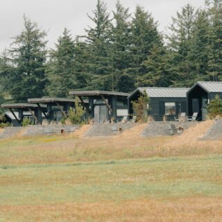 Row of dark, modern townhouses with angled roofs next to a dense evergreen forest, with a grassy field in the foreground.